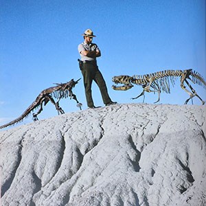 ranger with fossil skeletons