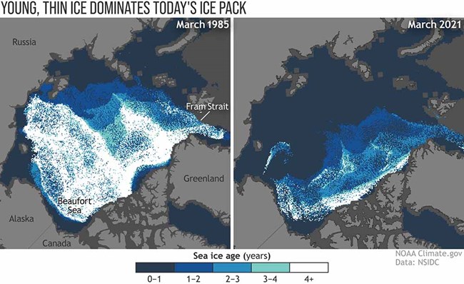 Comparison of sea ice and thickness.