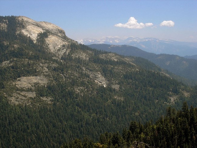 View of Big Baldy from Redwood Canyon