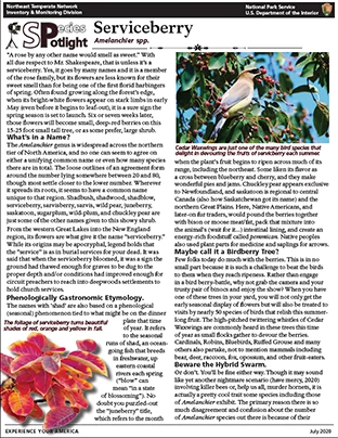 serviceberry pdf image of PDF