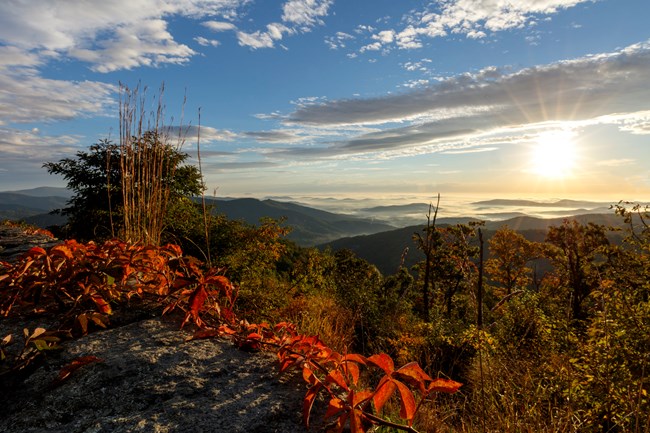 Scenic vista at Shenandoah NP