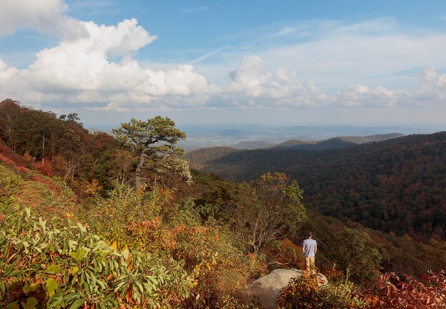 Visitor looking out at scenic hills and fall colors