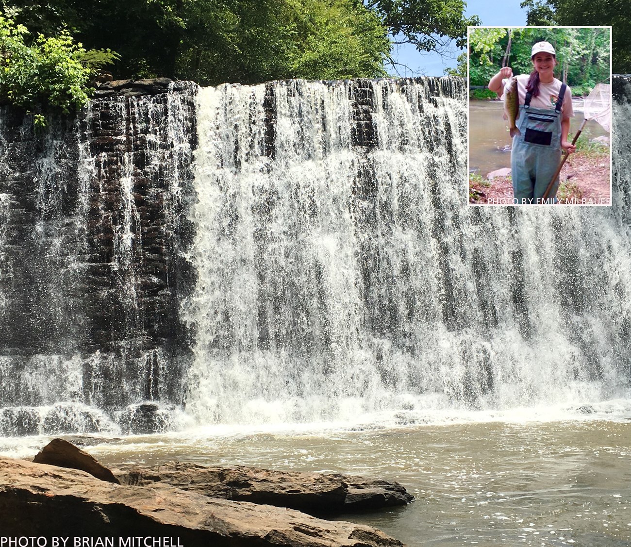 Shoal bass sampling at CHAT. Waterfall with picture of person holding a fish inset upper right.