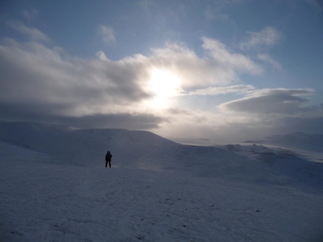 The snow covered arctic tundra.