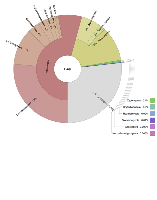 A graphic showing the percentage of various fungal groups found in algal crust samples collected at JTNP. A graphic showing the percentage of various fungal groups found in algal crust samples collected at JTNP.