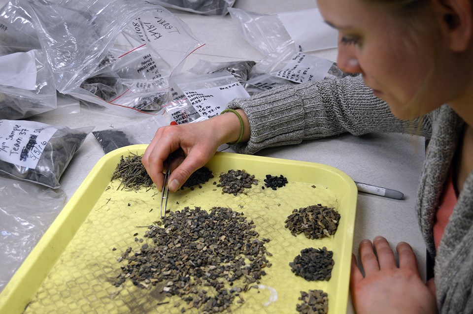intern sorting micro-artifacts intern sorting micro-artifacts