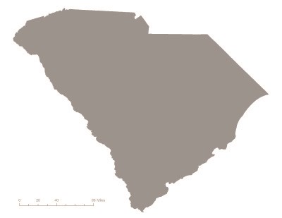 State of South Carolina in gray – indicating it was not one of the original 36 states to ratify the 19th Amendment. Courtesy Megan Springate.
