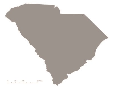 State of South Carolina in gray – indicating it was not one of the original 36 states to ratify the 19th Amendment. Courtesy Megan Springate. State of South Carolina in gray – indicating it was not one of the original 36 states to ratify the 19th Amendment. Courtesy Megan Springate.