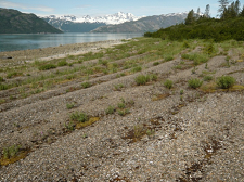 Cobble Ridge beach cobble ridges with the ocean and mountains in the backcountry