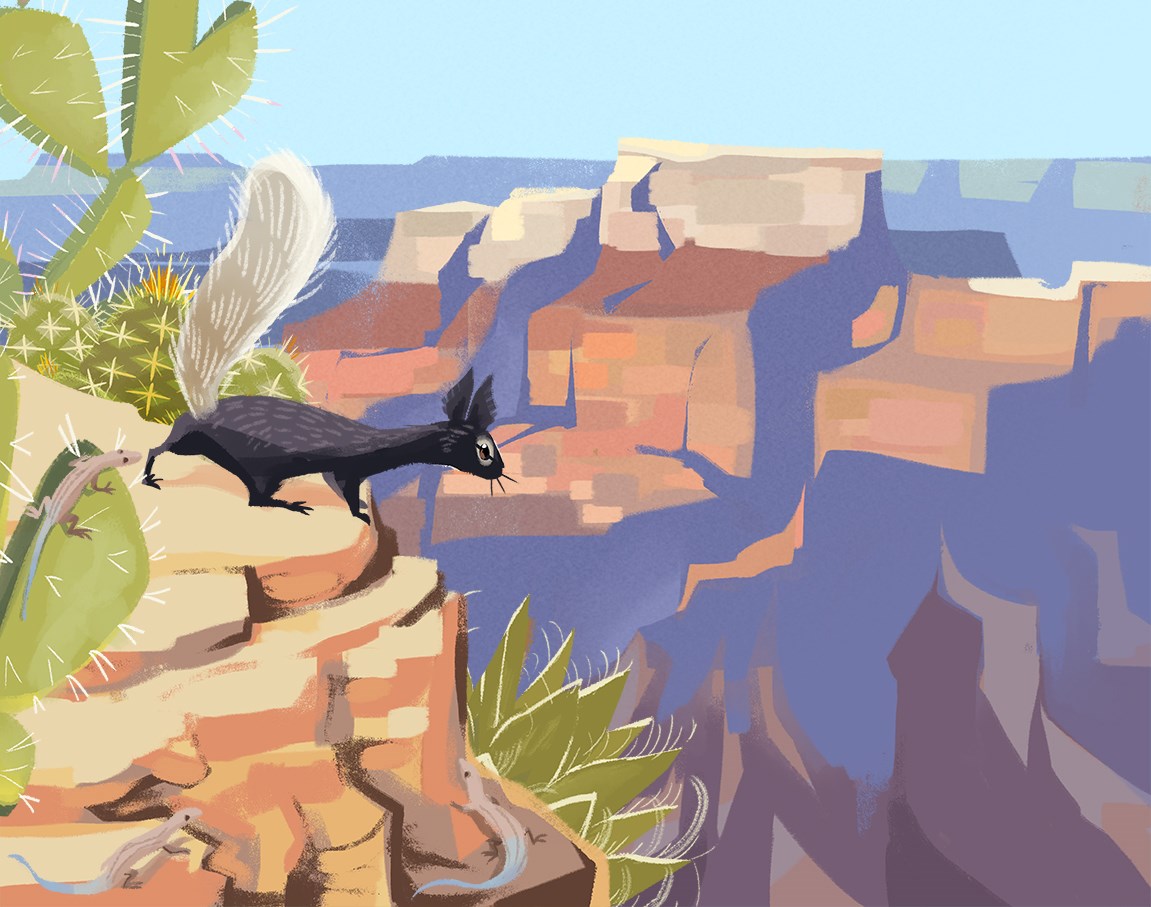 Coconino Sandstone. Illustration: A dark squirrel peering over the edge of Grand Canyon.
