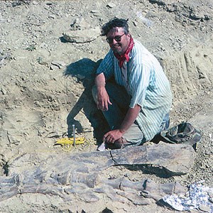 scientist next to large fossil
