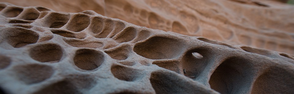 many small holes in a rock surface