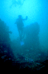 Wreck of the SS Tarpon