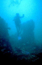 Wreck of the SS Tarpon Wreck of the SS Tarpon