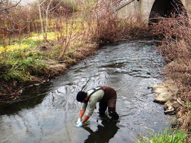 Collecting stream water sample Person in waders standing in stream collecting water