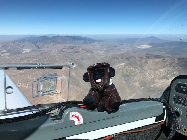 toy dog in aircraft
