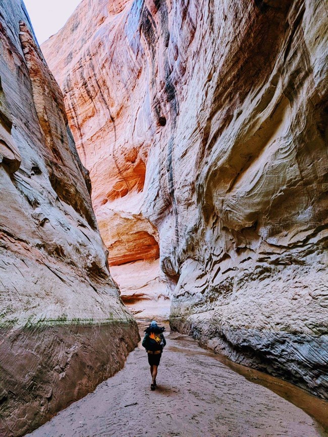 Steve Henry A person with a backpack hikes a tall canyon wash.