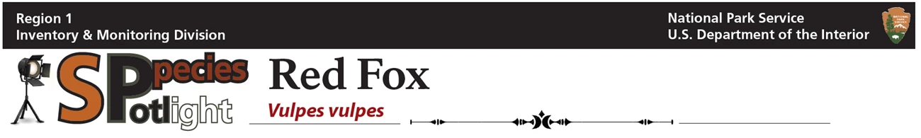 titel bar rf title bar for red fox article