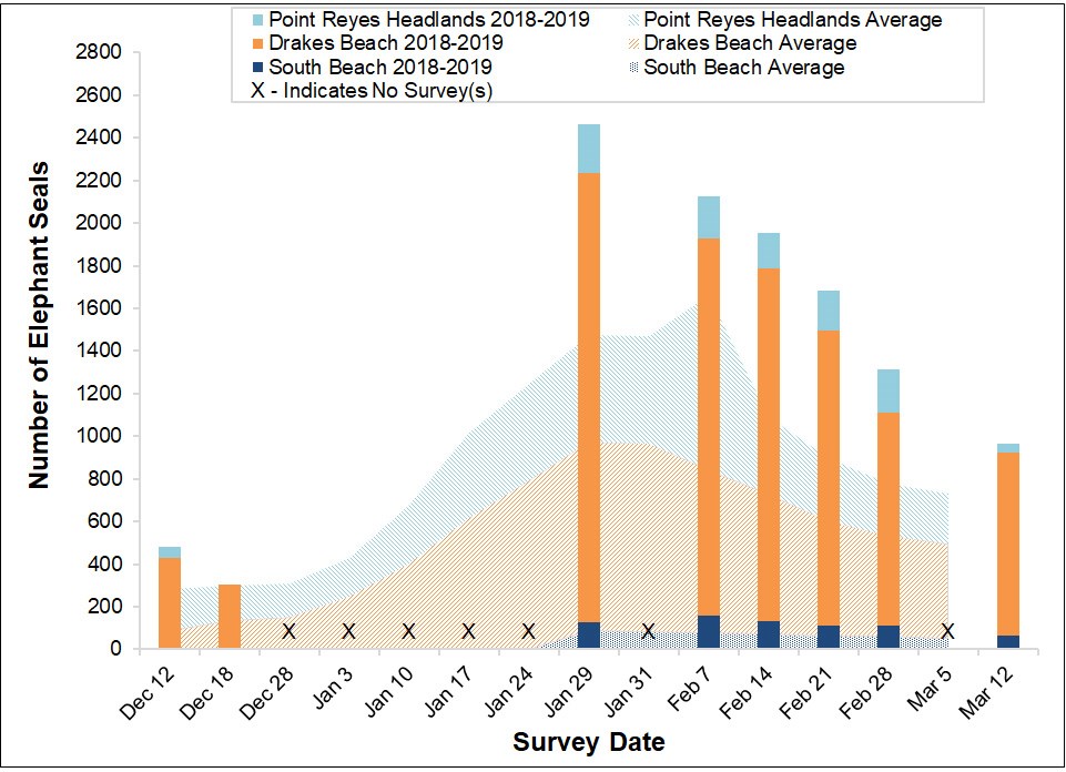 2018-2919 Total Elephant Seal Counts Stacked bar graph of the total number of elephant seals surveyed at three locations in Point Reyes National Seashore by survey date, overlayed on a stacked area graph showing the average number of seals surveyed at the same sites between 2005 and 2017.