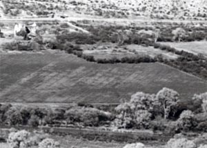 Aerial photograph showing tree lines defining the garden walls.