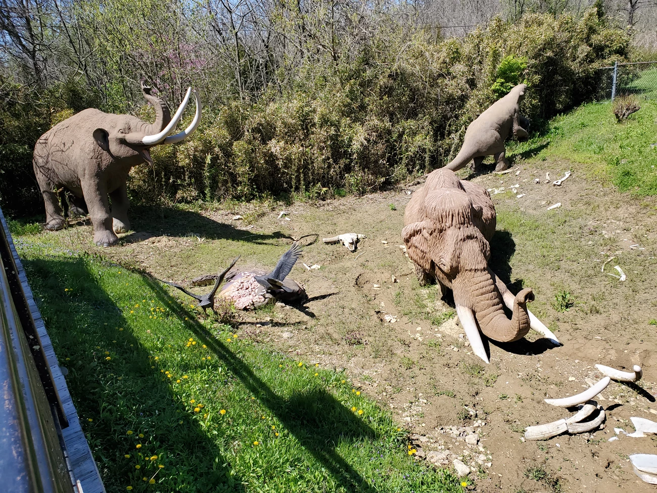 2025 SPRING PP NEWSLETTER - FIGURE 8 - BIBO TWEET Models of a mastodon, mammoth, sloth, and vultures amid scattered bones situated in a grassy field.