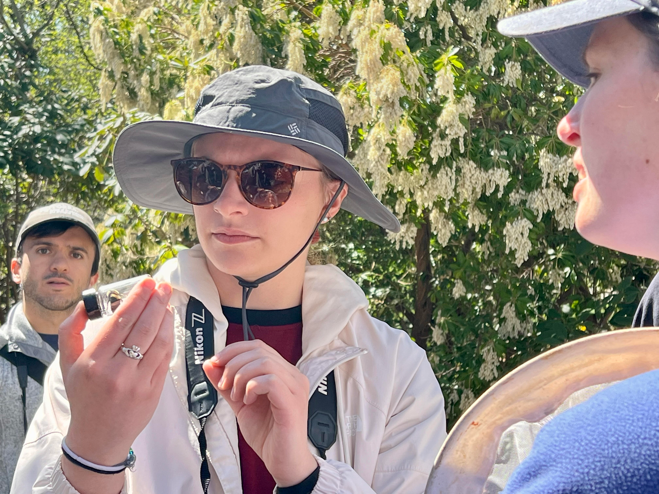 A person inspecting a vial they are holding with a bee in it. Two others are looking at the vial from a distance.