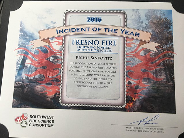 Incident of the Year 2016 Award Certificate