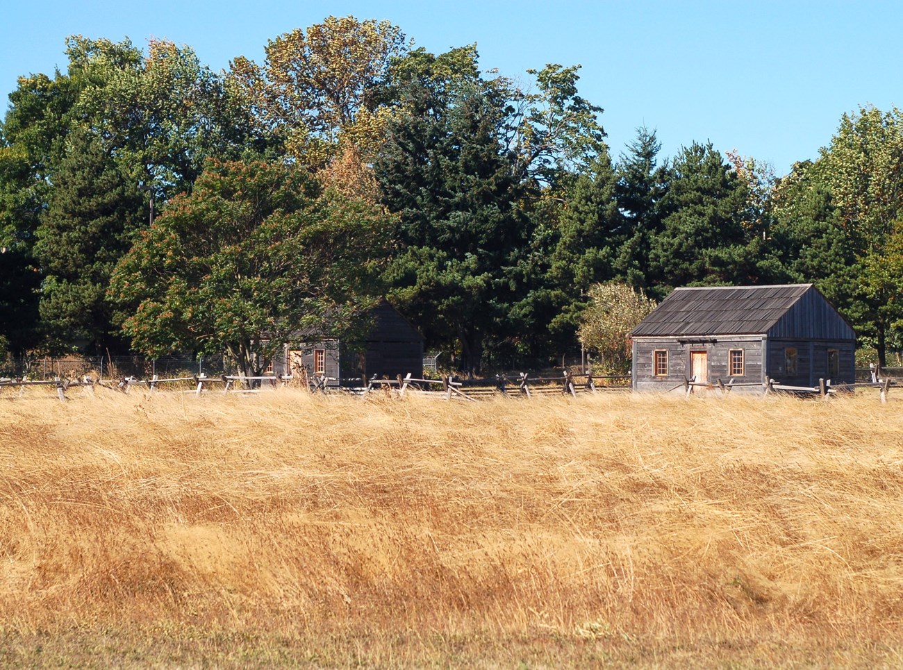 village Two cabins sit in a grassy field.