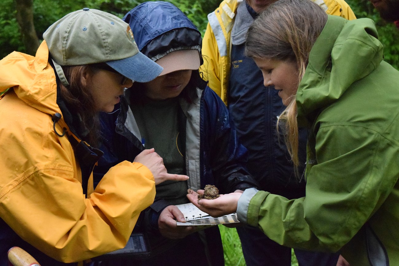 a group of people examine a soil sample