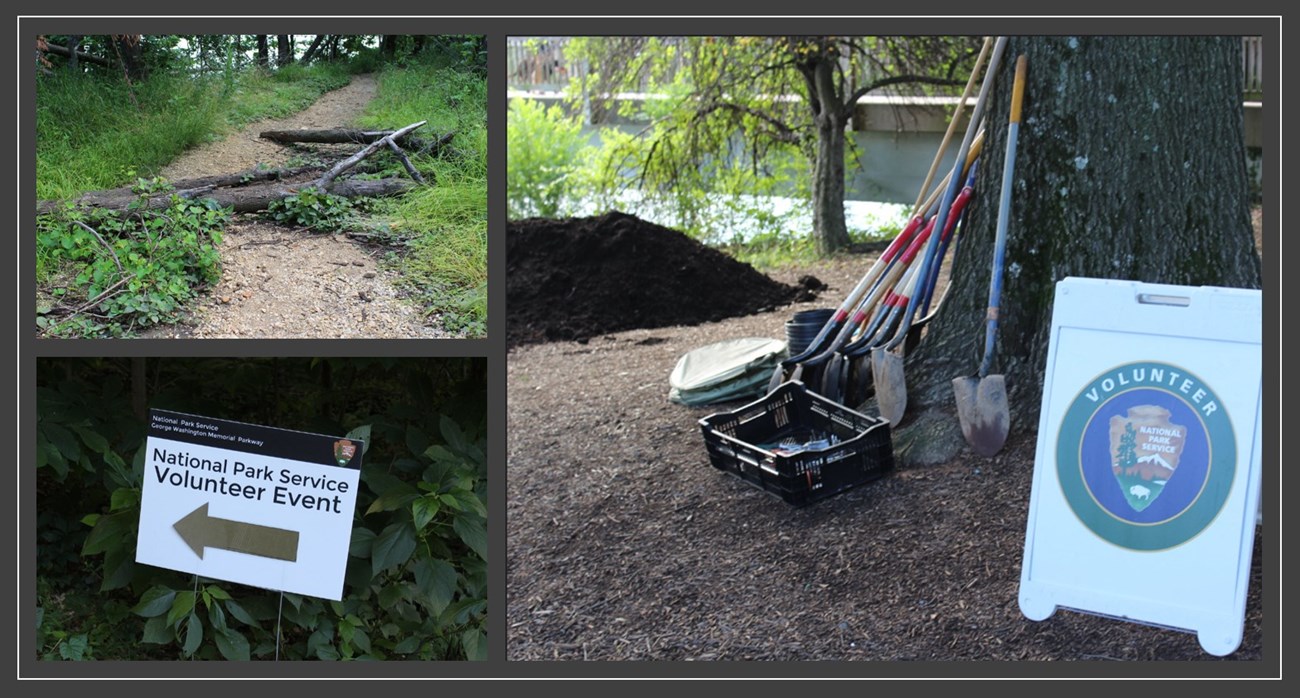 three photos of volunteer signage