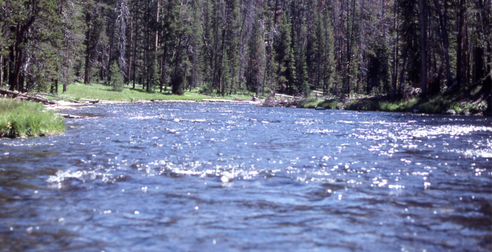 A flowing, blue stream with green grass and trees around its banks