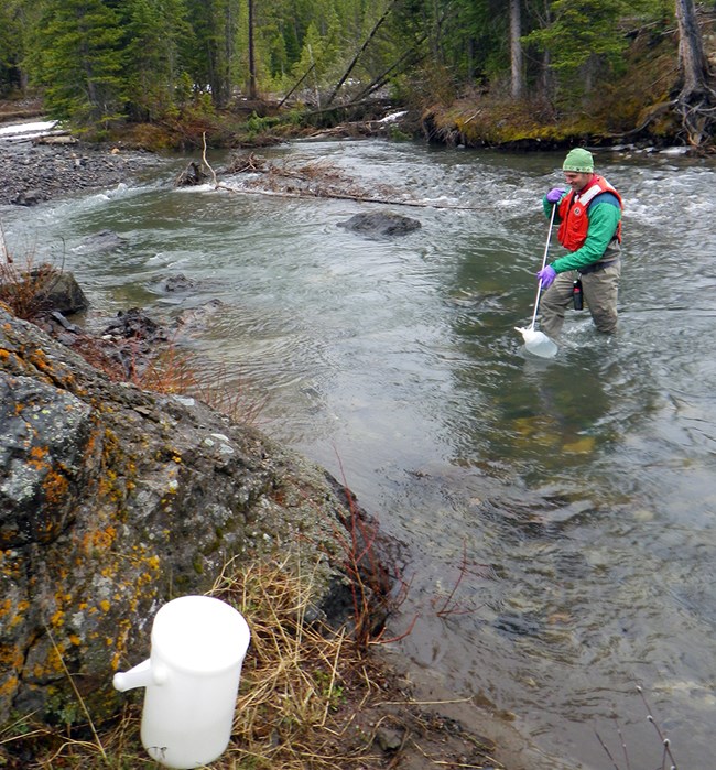 Scientist standing in the creek holding a pole with a bottle on the end submerged in the water.