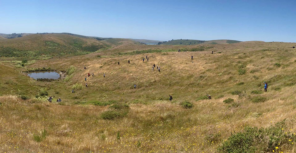 LINC volunteers, appearing tiny in a vast Point Reyes landscape, wave at the camera