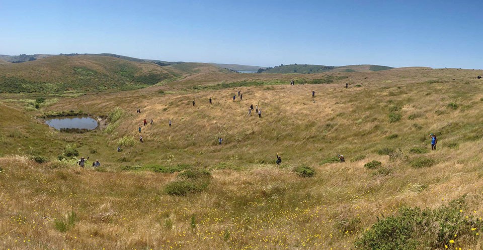 LINC volunteers LINC volunteers, appearing tiny in a vast Point Reyes landscape, wave at the camera