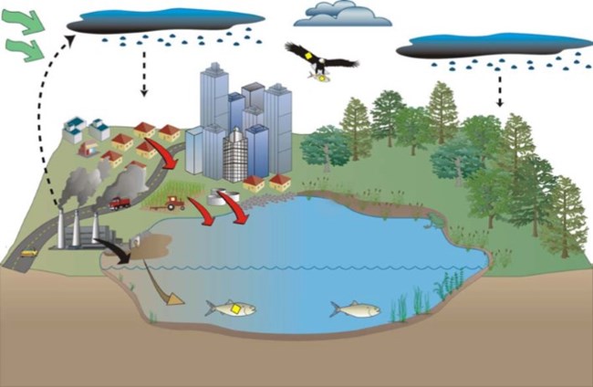 Weather and land use influence water quality Conceptual diagram illustrating how various factors can contribute to water contamination