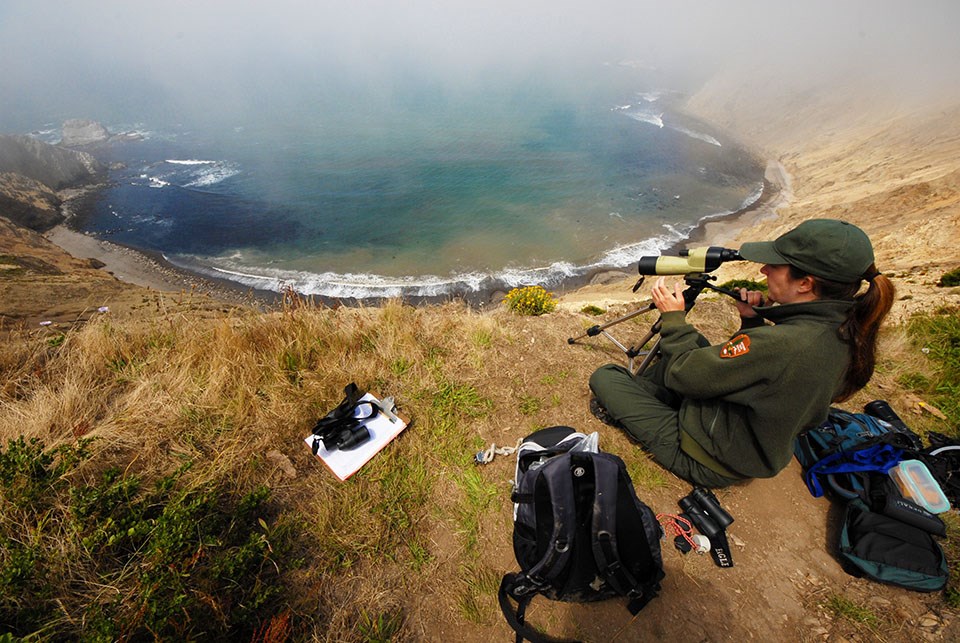 Researcher monitors pinnipeds through a scope from atop a steep, coastal bluff.