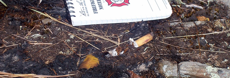 Smashed cigarette on the ground near dried pine needles and burned area. A notebook provides scale.