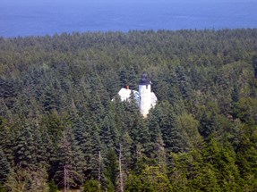 Aerial view of lighthouse surrounded by coniferous trees.