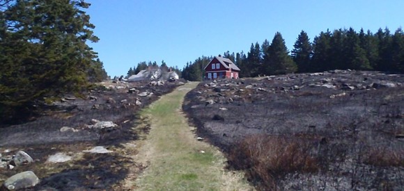 A green grass path, with burned areas on both sides of the path, leads up a hill to a red house