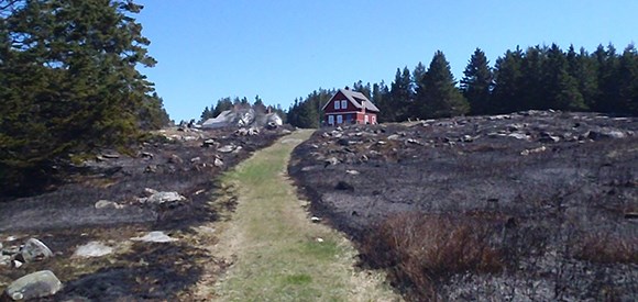 lt= A green grass path, with burned areas on both sides of the path, leads up a hill to a red house