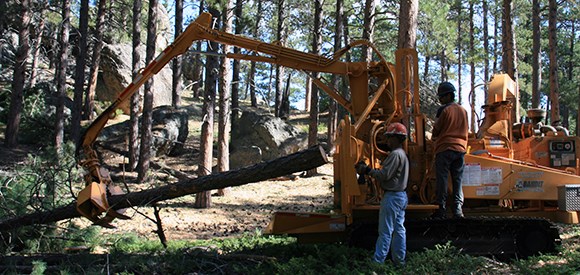 Tracked chipper moving trees.