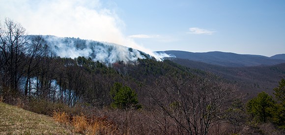 Smoke rises from a forested hill.