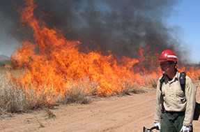 firefighter observes large flames in dried grasses