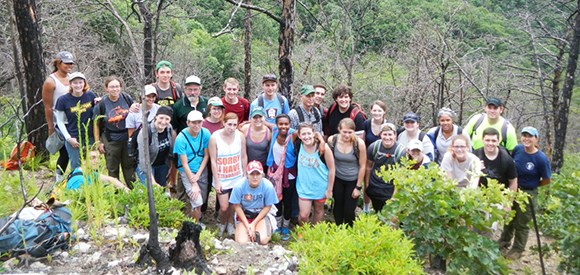 A group of students and guides stand in a burned forest with regrowth all around.