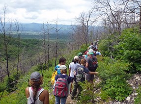 Students hike through a burned landscape with green regrowth.