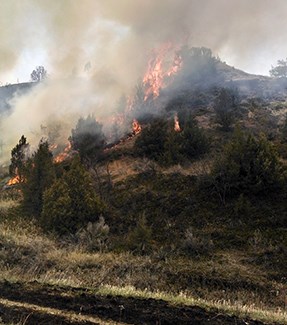 lt= Flames and smoke rise as a fire burns through juniper.