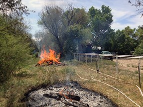 lt= One pile has burned to embers, while another one continues to burn actively.