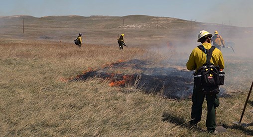 Firefighters scattered around a grasslands landscape with a small fire burning.