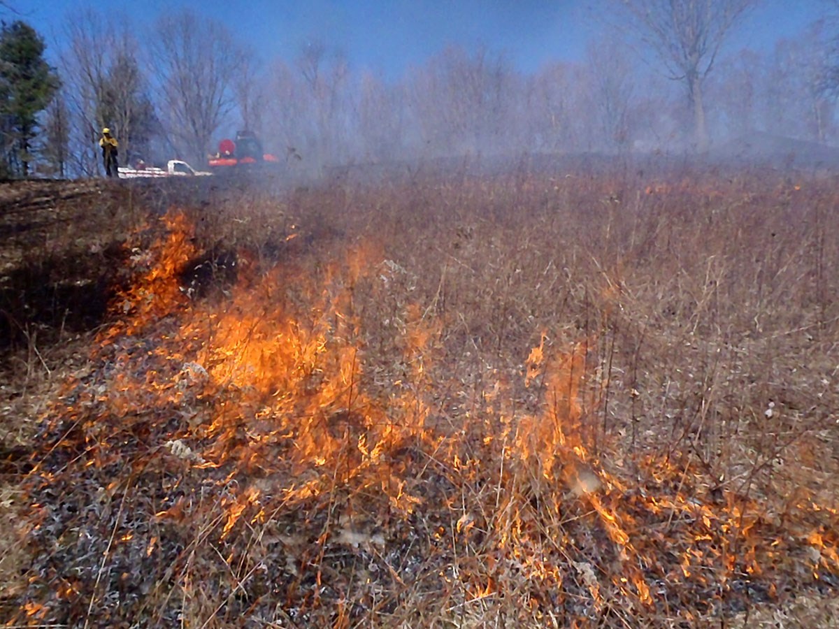 A firefighter stands at the top of a hill with fire vehicles while small flames consume vegetation on the hillside.