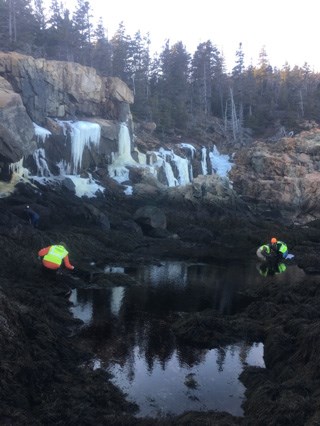 Winter tidepooling students in a tidepool with ice coating the rocks behind them